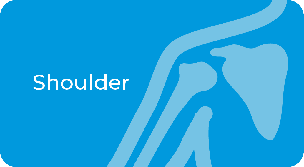 Shoulder